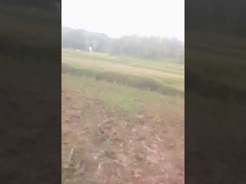 Team pjr panjaringan