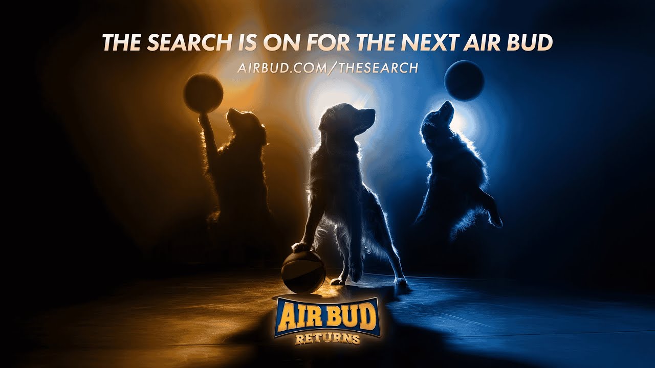 The Search For Next Air Bud