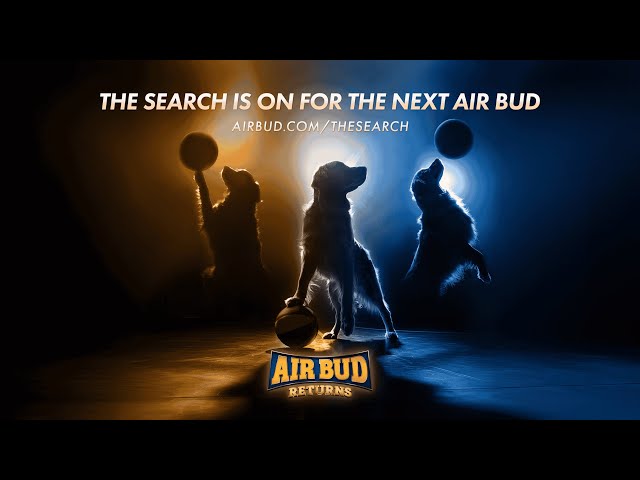 The Search For Next Air Bud