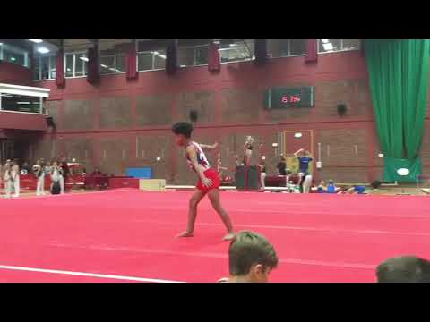 My gymnastics routine