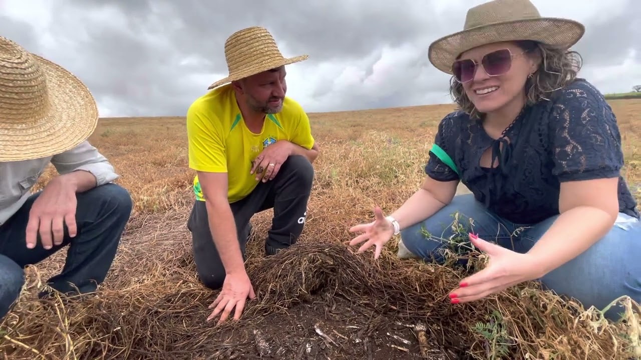 Análise de Metagenômica DNA do solo!