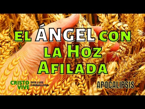 EL ÁNGEL CON LA HOZ AFILADA | APOCALIPSIS comentado por el Dr. Evis Luis Carballosa