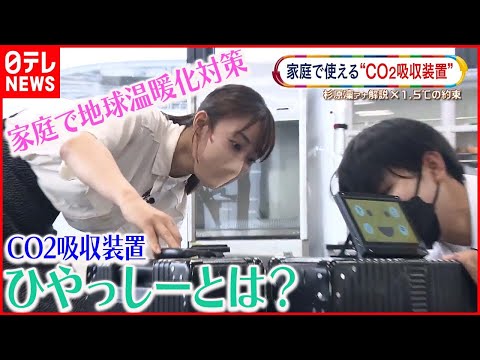 岩石の風化: しかし、CO₂ 吸収源ではないでしょうか?