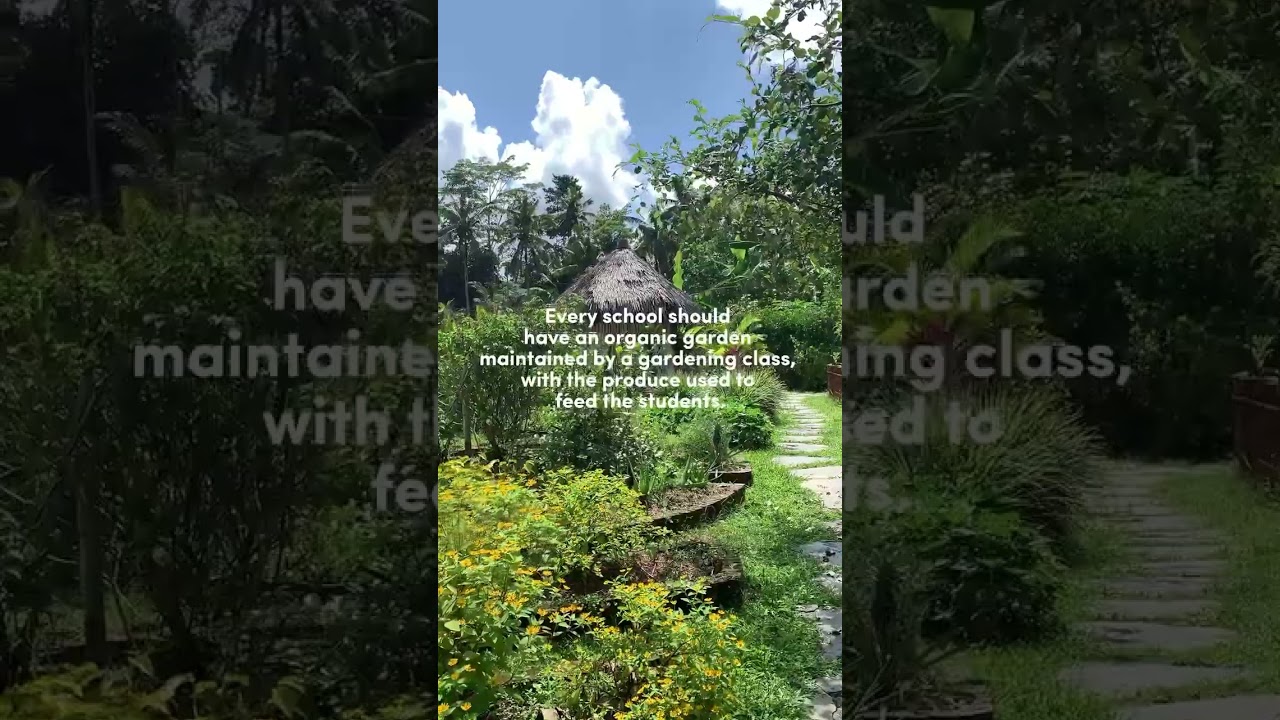 The Organic Garden At School 🌿☘️🌾