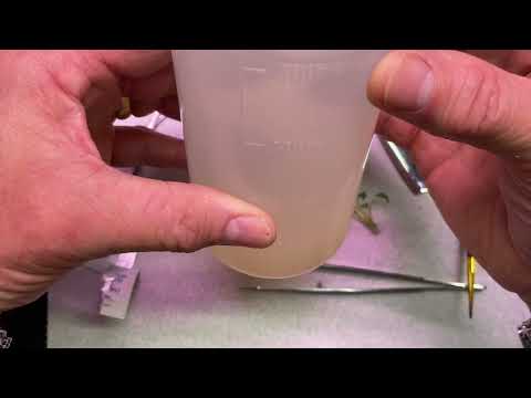 Crown and Root Rot Rescue, African violet