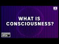 CONSCIOUSNESS Explained In An Elevator Ride Elevator Pitch