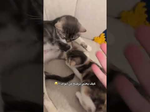 الجوع kافرررر😂🤦 #لايك