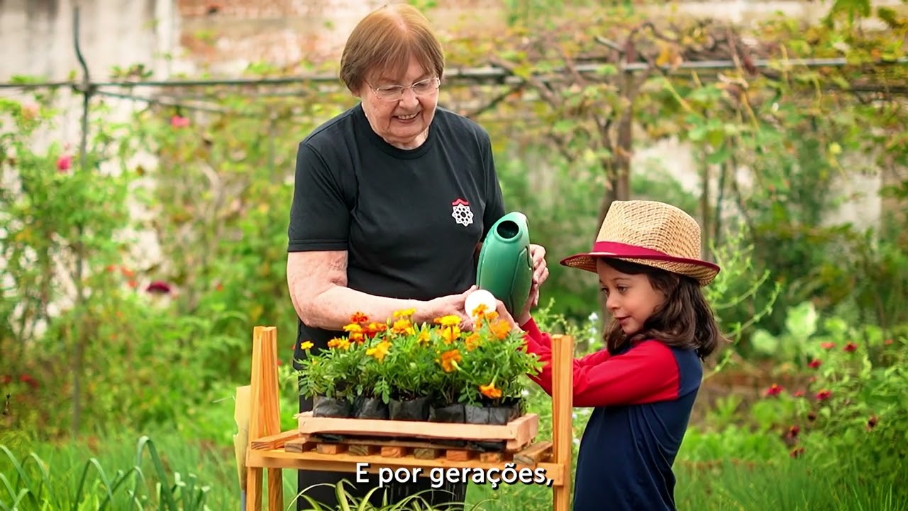 Youtube Vídeo