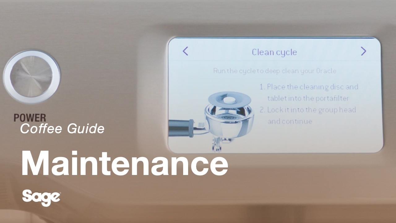 How to perform a cleaning cycle