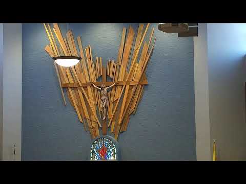 OLPH Scottsdale Livestream Mass - 12:30am Mass - Sunday, Sep. 8, 2024