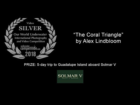OWU 2018 Silver Video Winner – “The Coral Triangle” by Alex Lindbloom
