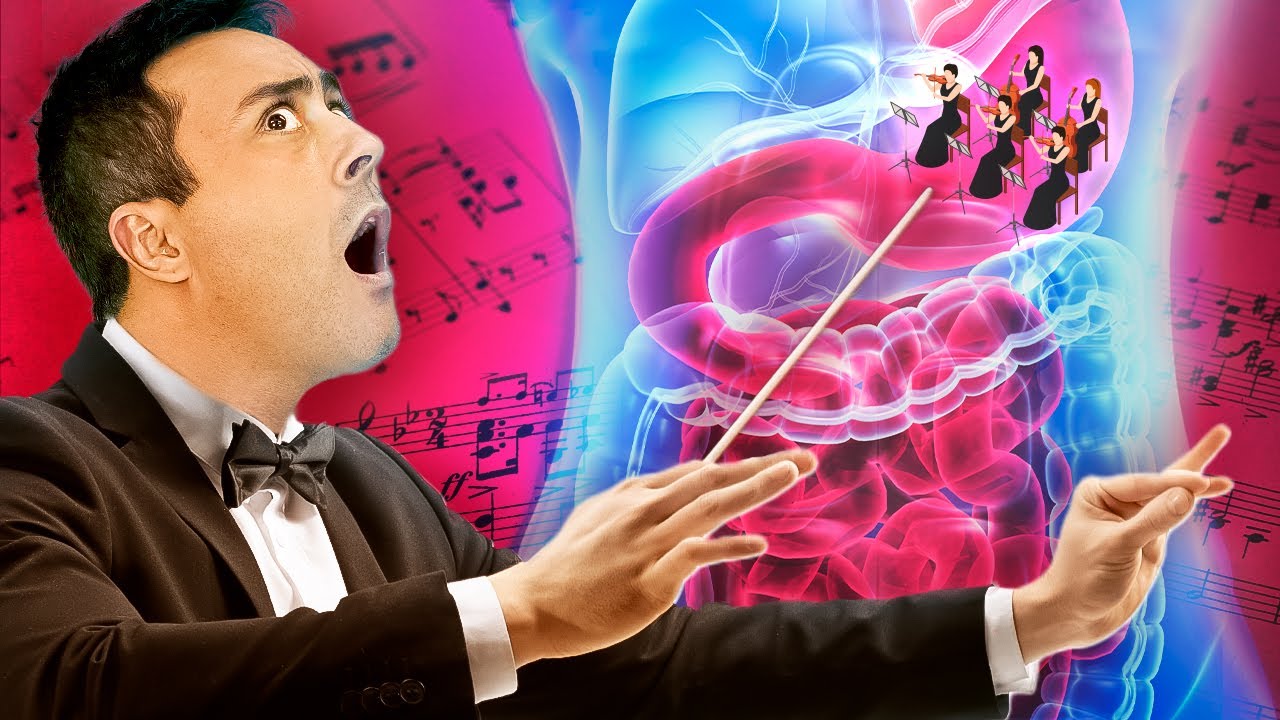 SISTEMA DIGESTÓRIO: Hormônios Digestivos | AULA 6