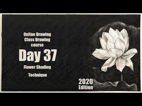 Drawing for Beginners Step by Step | Day 011 Part 1 | Basic Pencil Shading Technique Part 1