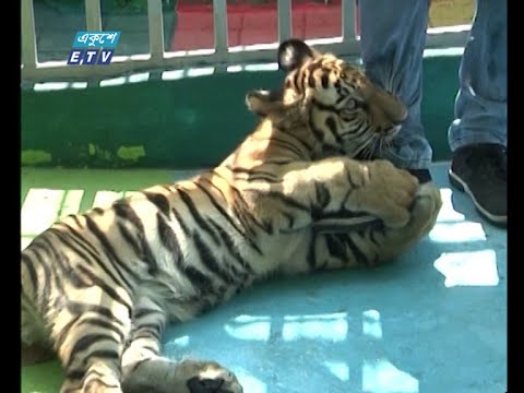 করোনায় দর্শনার্থীশূন্য চট্টগ্রাম চিড়িয়াখানা