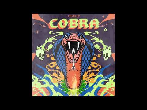 Dutty Deedz & Su Real - "COBRA" ft. General Zooz, Shah Rule & Kavin (DJ Skip Remix)