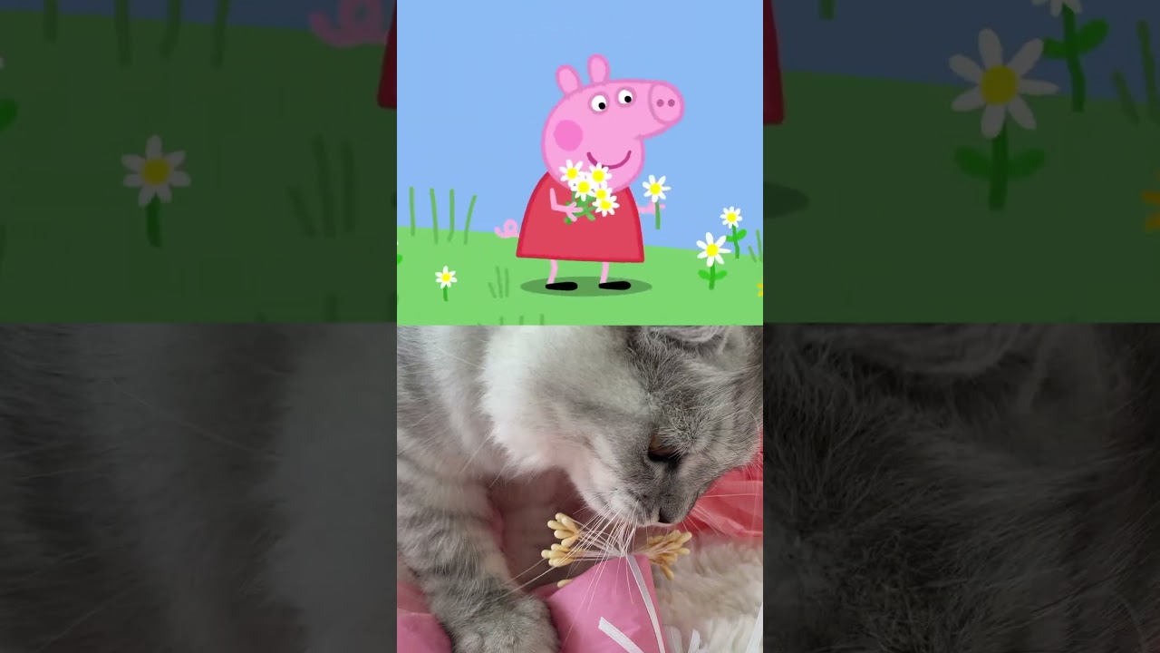 【Don't pick grass‼︎🌱】#shorts