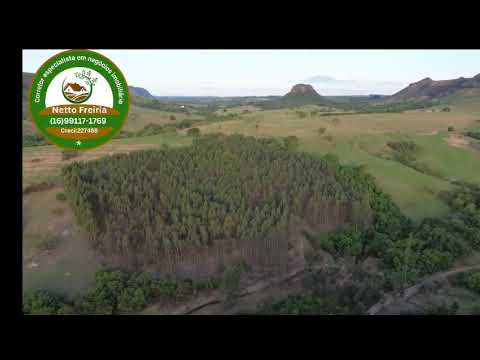 SÍTIO À VENDA – SANTO ANTÔNIO DA ALEGRIA/SP Propriedade com 19,59 hectares