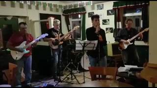 SJ Hill I'll play the blues for you