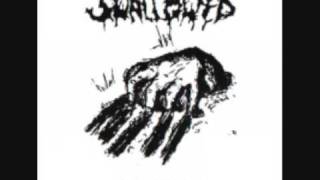 Music video thumbnail preview for Swallowed - Wisdoms of Putrefying by Swallowed