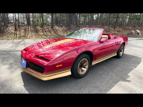 1984 Pontiac Firebird Trans Am (CC-1829798) for sale in Abington, Massachusetts