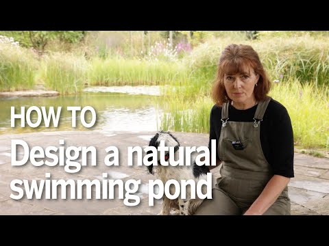 How to design a natural swimming pond