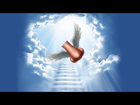 Hunda Në Mut --  D.M.K. ft  DOZA