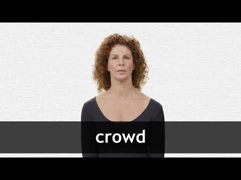 CROWD definition and meaning | Collins English Dictionary