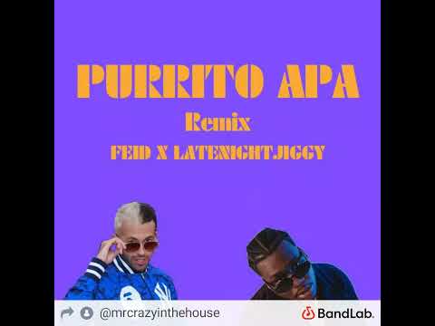 PURRITO APA (REMIX) - Feid feat. LATENIGHTJIGGY