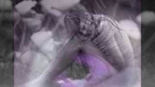 Mariza, A chuva - Instrumental