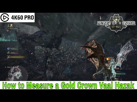 Monster Hunter: World - How to Measure a Gold Crown Vaal Hazak Video