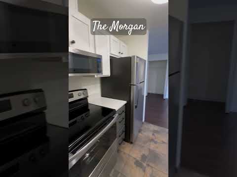The Morgan property video