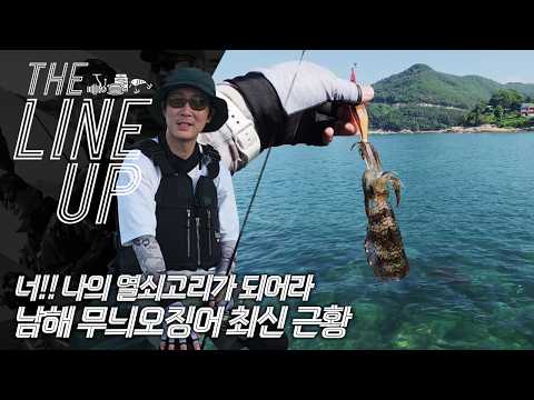 [더라인업] 찐시즌이 기대되는 남해 무늬오징어 최신...