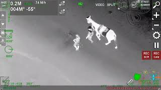 Deputies Locate Child with Autism on Siesta Key Beach