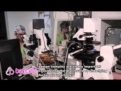 What is the significance of pre-treatment semen analysis (Spermiorgam) in terms of embryology laboratories?