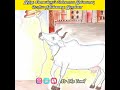 இப்படி ஒரு நீதிபதி கிடைச்சா எப்படி இ�