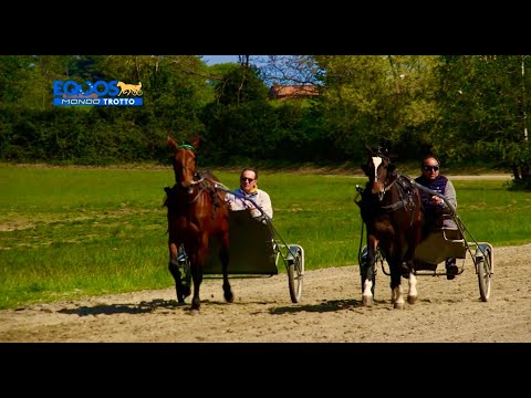 EQUOS MONDO TROTTO puntata 1
