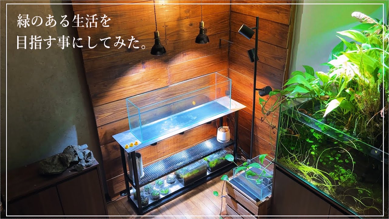 自分だけの水槽台で新アクアライフ