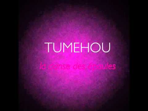 DJ ROMS_TUMEHOU le Son