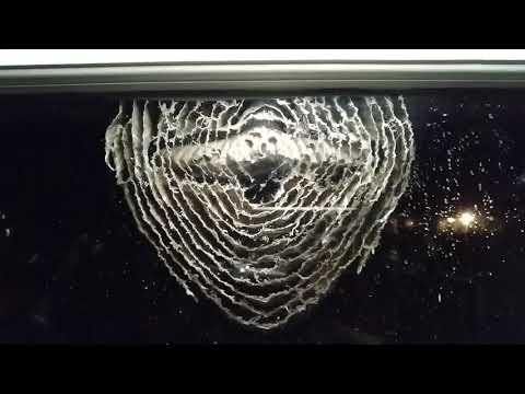 image-What is in wasp spray that kills them?