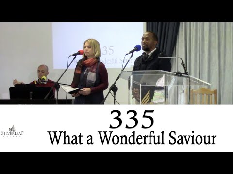 335 - What a Wonderful Saviour