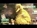 Bert Leaves Ernie To Live With Big Bird And Oscar Sesame Street Classics Full Episode