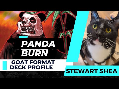 Yu-Gi-Oh! 1st Place Panda Burn Deck Profile (Cleveland GOAT Format Championship) 12-13-25 
