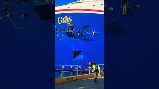 Carnival Mardi Gras #turksandcaicosisland come for the fun stay for the culture #providenciales