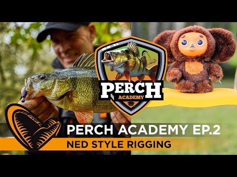 Perch Academy - Episode 2 - NED Style Rigging