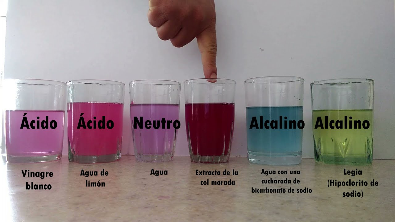 La col mágica que cambia de color (indicador de pH)