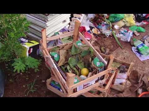 Problema recorrente: ecopontos amanhecem com lixo na calçada