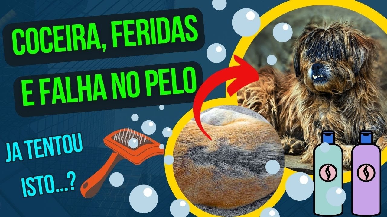 Como Resolver Problemas de Pele – Coceiras, Falhas de Pelo, Feridas