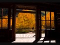 The Opening of Doors-Will Ackerman