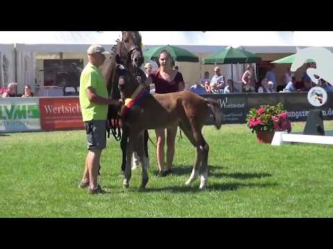 Valesca G, SF von Van Gogh – Quality *10.05.2018