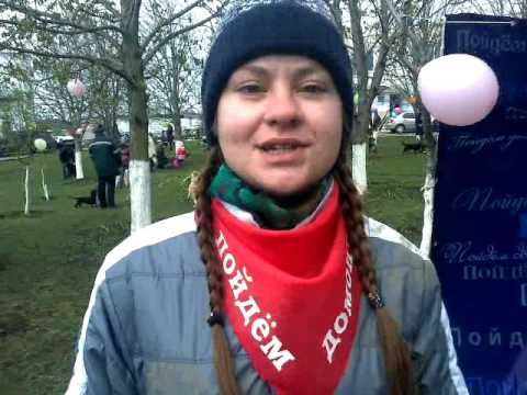 В Белгороде бездомные животные обрели хозяев